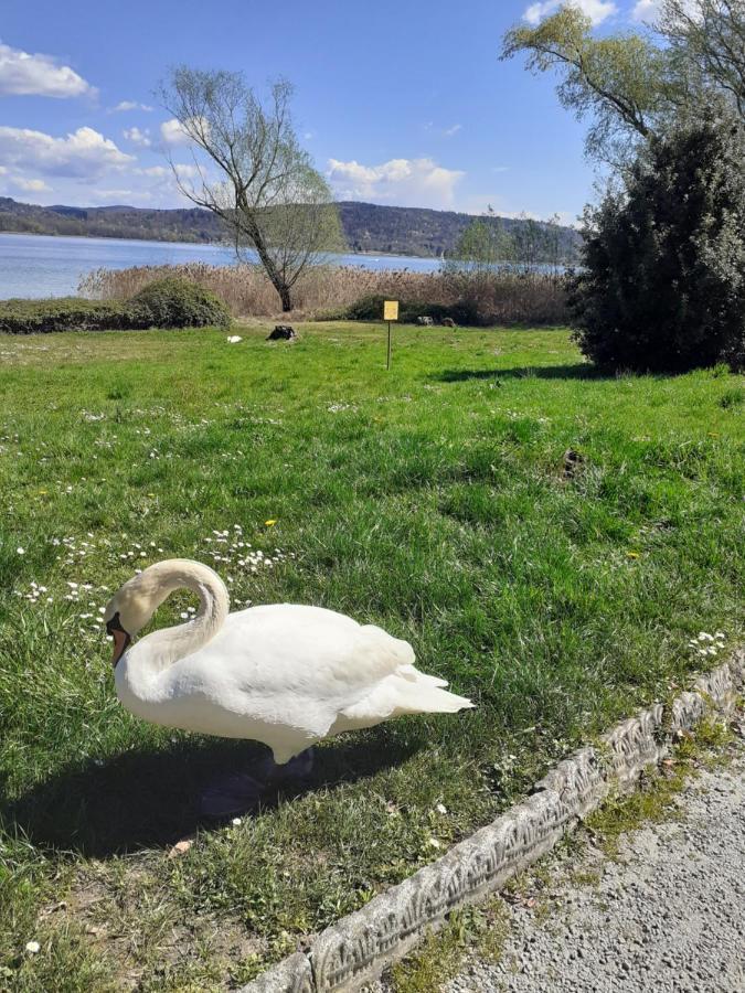 Room Country-Lake Дормеллетто Экстерьер фото